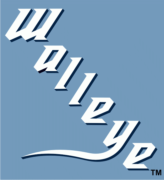 toledo walleye 2009-pres wordmark logo iron on heat transfer